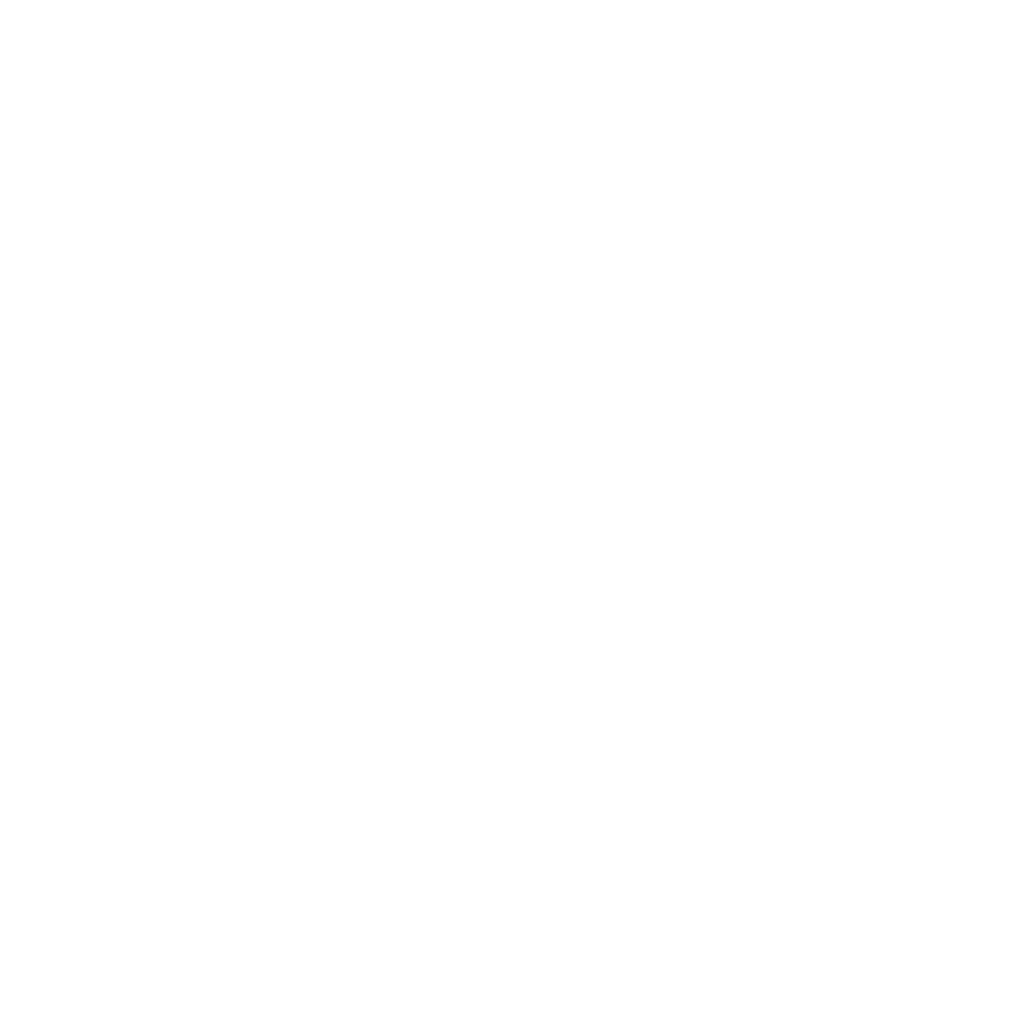 First Dance Studio Logo